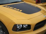2006%20Dodge%20Charger%20Hemi%20R T%20Daytona%20Hood%20