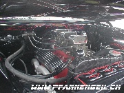 Colombier%2015. 16.08.2004%20Meeting1