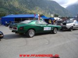 Turtmann_2007_35